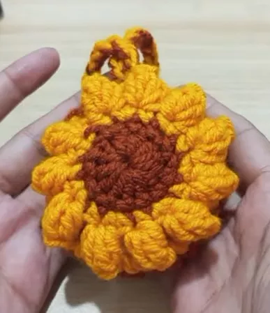 Fiber Frenzy Crochet Art for All